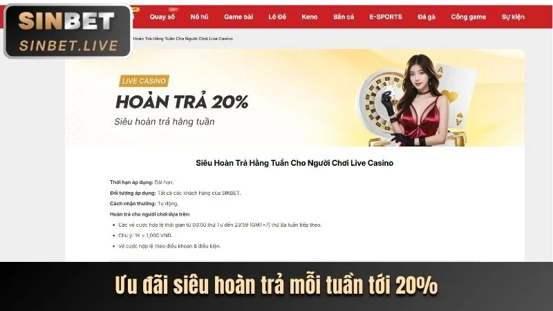 Lợi ích thành viên VIP vnq8 bet